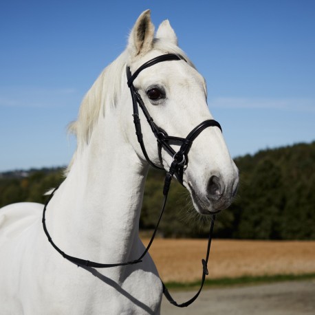 Horze Denver Bitless Bridle 