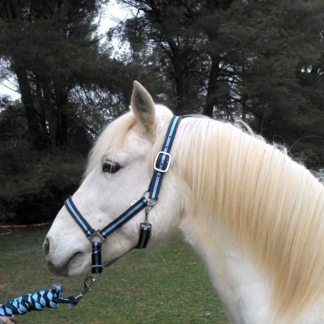 Synthetic halter, leather padded at nose and crown. 