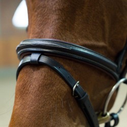 Horze Sparta Snaffle Bridle