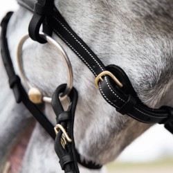 Horze Constance Padded Flash Snaffle Bridle 