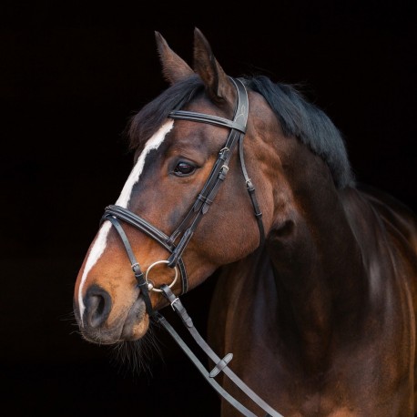 Horze Constance Padded Flash Snaffle Bridle 