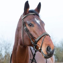 Horze Venice Snaffle Bridle