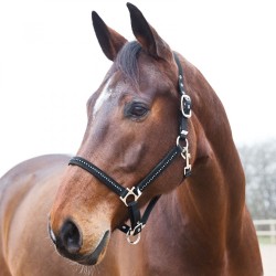 Horze Diamond Halter