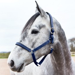 Horze Halter with Lining 