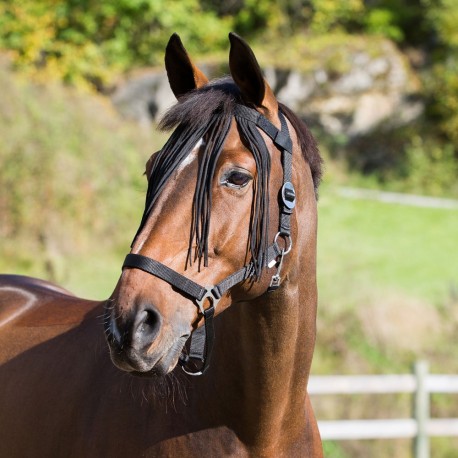 Horze Nylon Fly Veil - $15.00 $- asmilinghorse.com